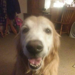 Meet your Posher, Cindyk